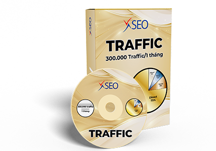 300,000 TRAFFIC/THÁNG