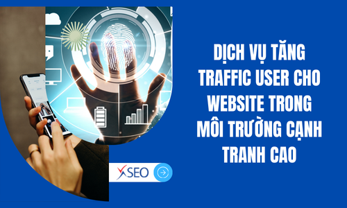 Dịch vụ tăng traffic user cho website trong môi trường cạnh tranh cao