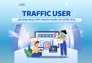 Giải pháp tăng traffic website chuyên sâu và bền vững với traffic user của XSEO