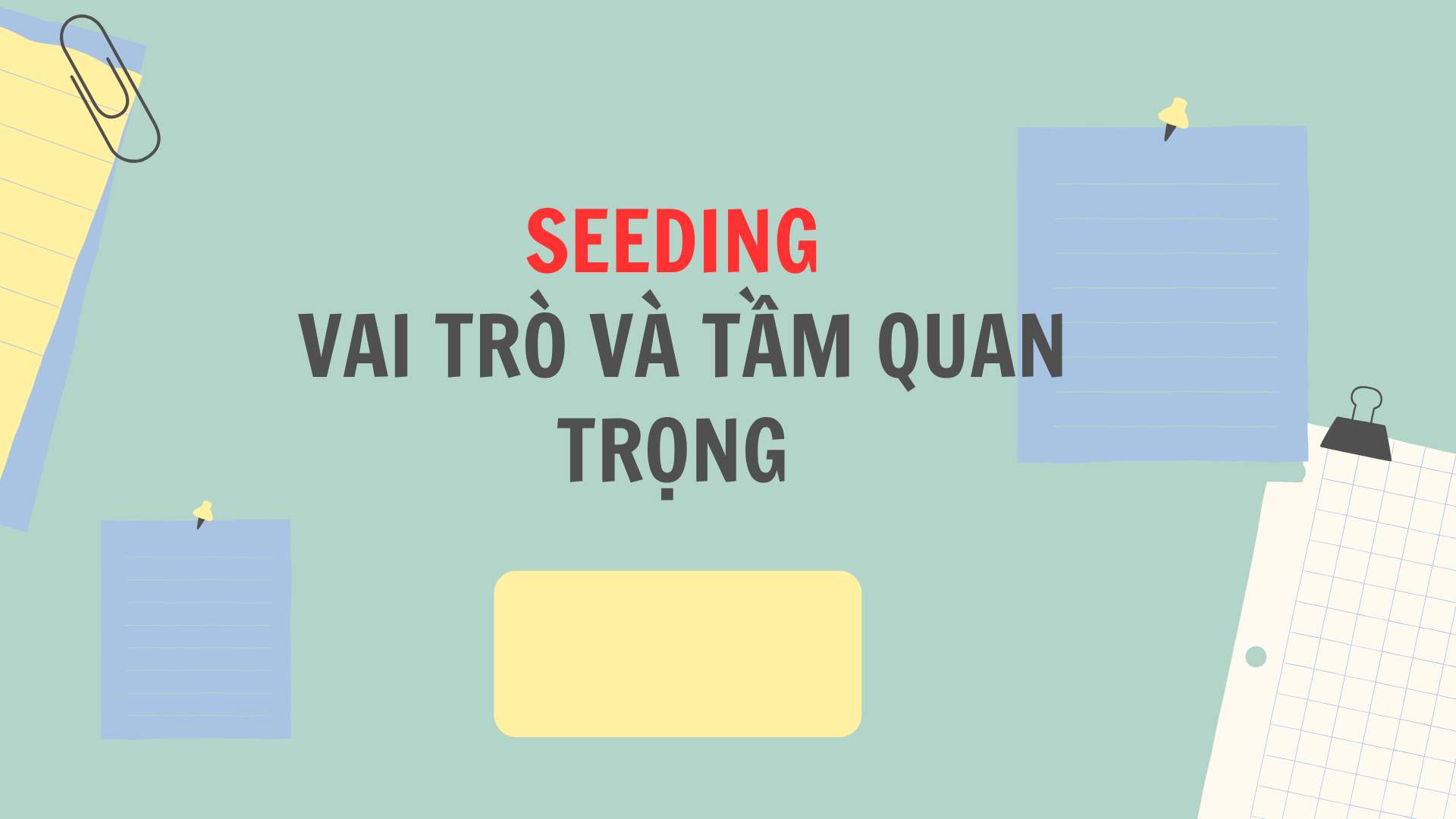 Seeding là gì? Vai trò và tầm quan trọng của seeding?