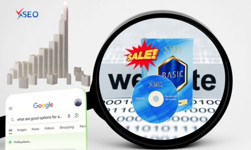 Tại sao nên dùng Phần mềm SEO web XSEO Basic?
