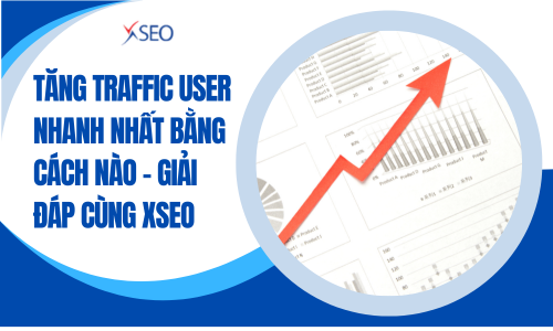 Tăng Traffic User nhanh nhất bằng cách nào - Giải đáp cùng XSEO