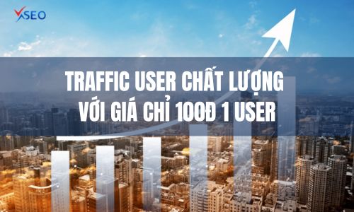 Traffic user chất lượng với giá chỉ 100Đ 1 User