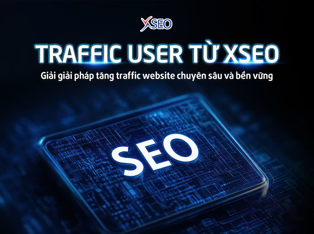 Traffic user từ XSEO – giải pháp tăng traffic website chuyên sâu và bền vững